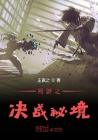 網游之決戰秘境在線閱讀