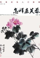 怎样画芙蓉在线阅读