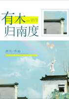 有木归南度在线阅读