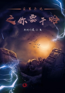 盜墓系統之你要干哈