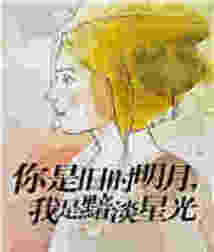 你是舊時明月，我是黯淡星光