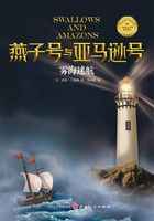 雾海迷航(燕子号与亚马逊号)在线阅读