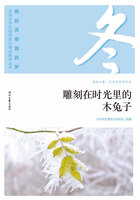 “我的青春我的梦”全国中学生校园美文精品集萃丛书:雕刻在时光里的木兔子在线阅读