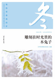 “我的青春我的夢”全國中學生校園美文精品集萃叢書:雕刻在時光里的木兔子
