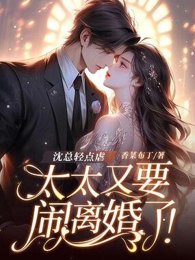 沈总轻点虐，太太又要闹离婚了！在线阅读