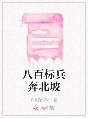 八百标兵奔北坡在线阅读