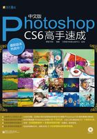 中文版Photoshop CS6高手速成在线阅读