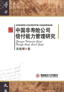 中國非壽險公司償付能力管理研究