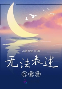 無法表述的愛情