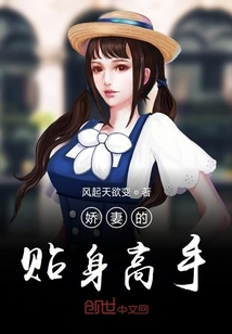 嬌妻的貼身高手