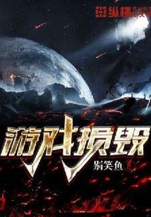 游戏损毁