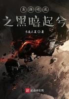 英雄传说之黑暗起兮在线阅读