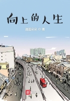 向上的自省之路