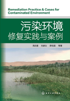 污染环境修复实践与案例在线阅读