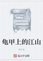 龟甲上的江山在线阅读