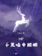 HP：于黑暗中相拥