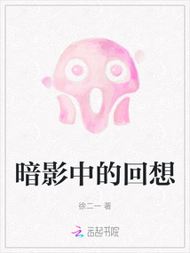 暗影中的回想