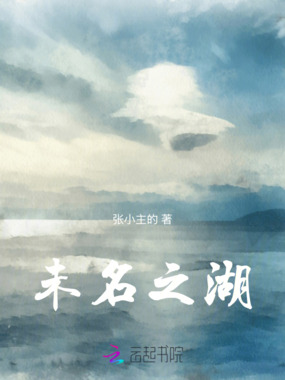 未名之湖在线阅读