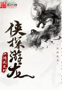 侠探游龙 cover