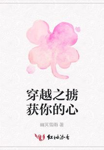 穿越之擄獲你的心