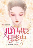 几许星辰月影中