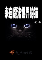 來自魔法世界的貓在線閱讀