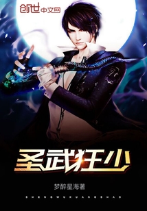 圣武狂少