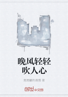 晚風輕輕吹人心在線閱讀