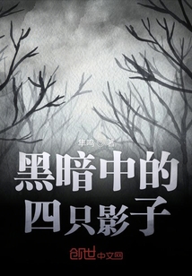 黑暗中的四只影子