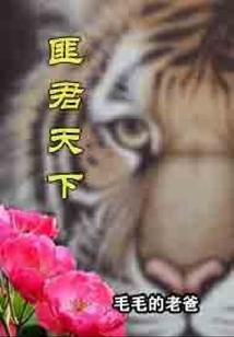 匪君天下