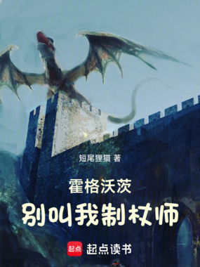 霍格沃茨:别叫我制杖师在线阅读