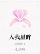 入我星眸在线阅读