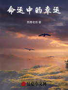 命运中的幸运在线阅读