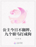 公主今日不翻牌,九个驸马打成狗在线阅读
