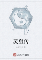 灵皇传在线阅读
