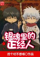 銀魂里的正經人在線閱讀
