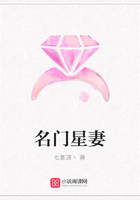 名門星妻在線閱讀