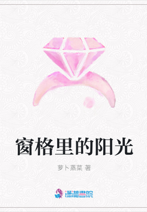 窗格里的陽光