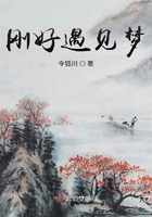 剛好遇見夢在線閱讀