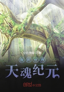 我的世界天魂紀元
