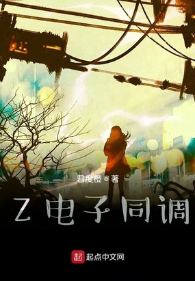 Z电子同调在线阅读