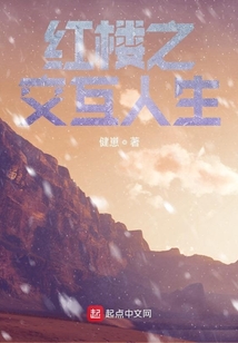 红楼之交互人生在线阅读