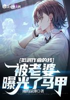 低调作曲的我,被老婆曝光了马甲