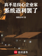 真不是良心企业家,系统返利罢了在线阅读