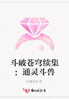 斗破蒼穹續集：通靈斗獸在線閱讀