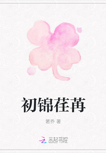 初锦荏苒