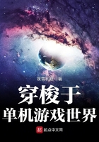 穿梭于单机游戏世界