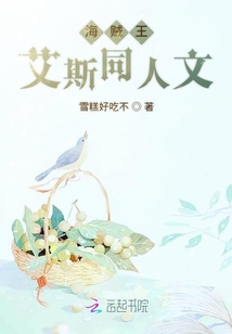 海賊王艾斯同人文