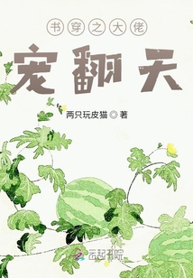 書穿之大佬寵翻天