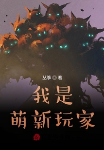 我是萌新玩家